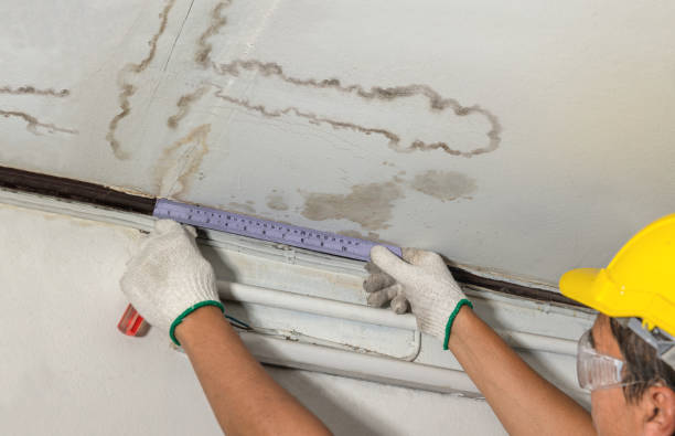 Reliable Mold Remediation contractor in Fulton, MI by Water Damage Irwin
